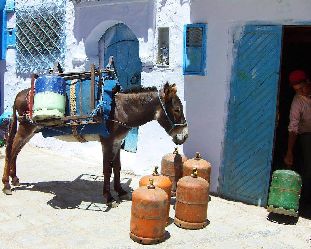 Guided tour from Tangier to Tetouan and Chefchaouen экскурсии Танжер