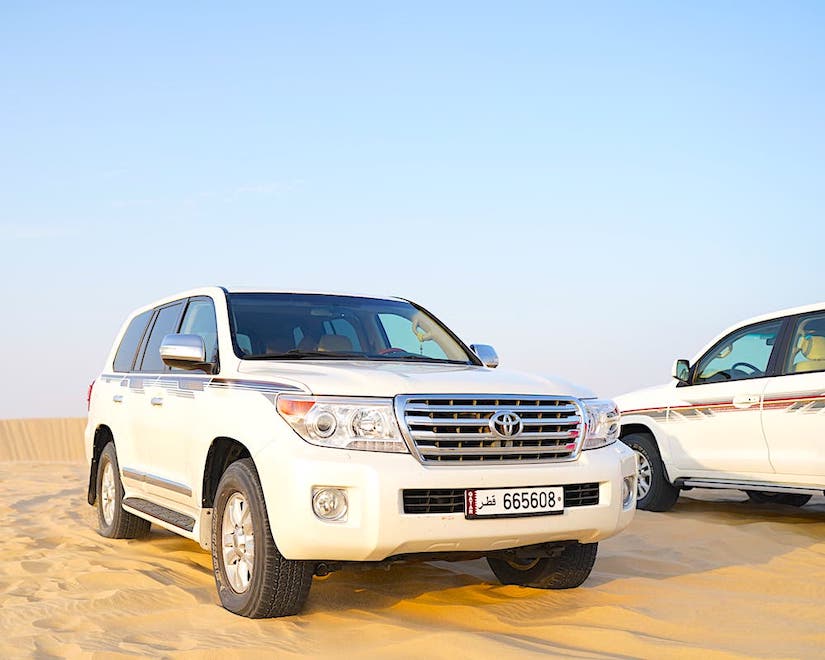 Сафари-тур проводится опытным водителем, владеющим английским языком. Также, за дополнительную плату, предоставляется гид, говорящий на русском языке.
