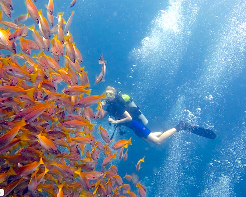 Дайвинг в Пхукете и пляжный релакс
