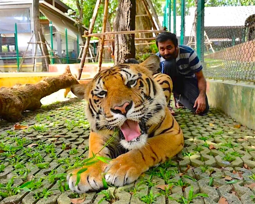 Супер-день на Пхукете: приключения начинаются