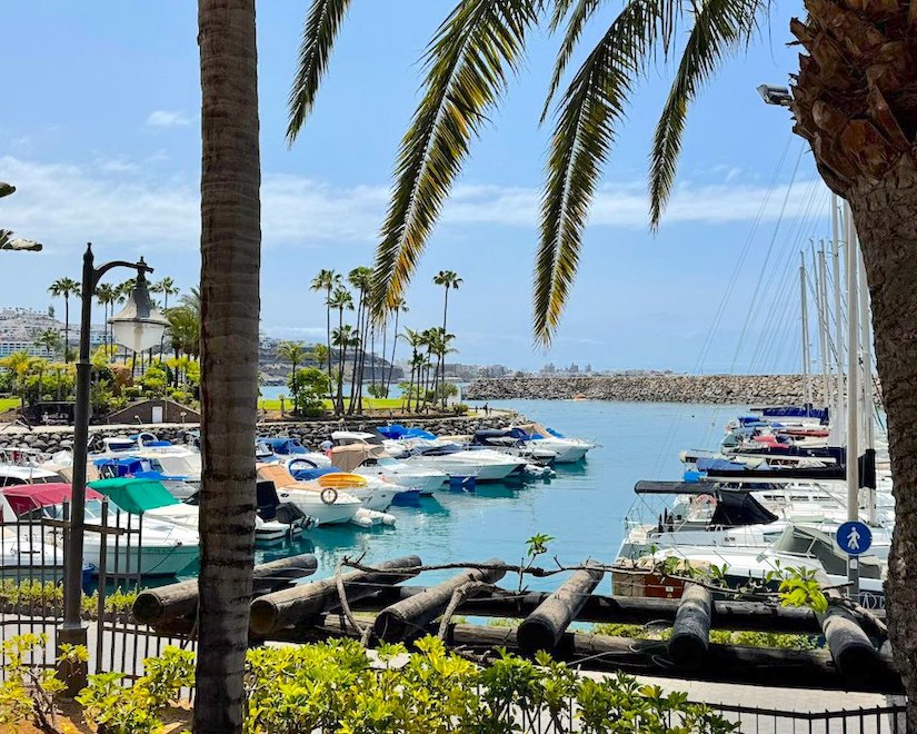 Барракито-тур: сады, вулкан, дюны и кофе у океана