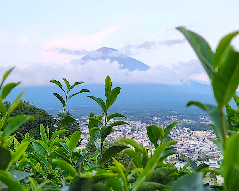 Шимизу &mdash; это место, где величественная Фудзи встречается с океаном. Здесь время замедляется: чайные плантации тянутся к горизонту, в чашке раскрывается вкус настоящего зелёного чая, а на побережье подают свежего тунца, выловленного в этих водах. Экскурсия построена без спешки &mdash; чтобы увидеть, попробовать и почувствовать Японию. День, в котором природа, вкус и тишина складываются в состояние внутреннего равновесия.
