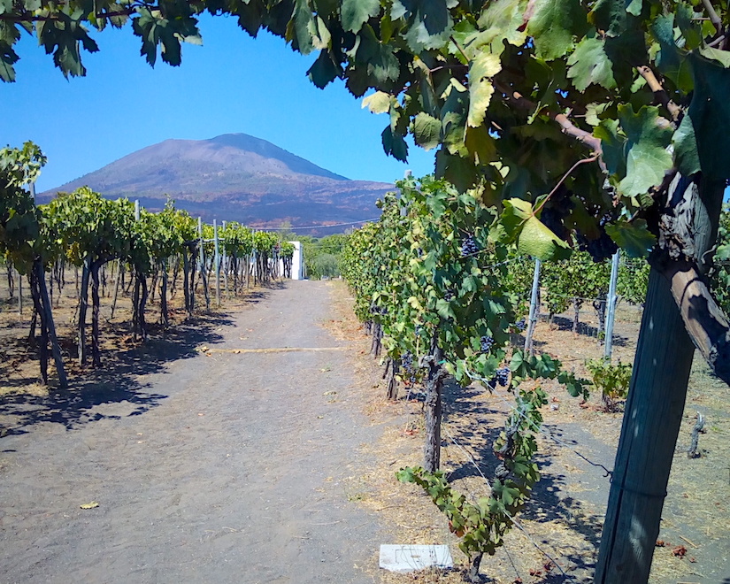 Погрузитесь в традиции виноделия Кампании и откройте вкус знаменитого вина Слеза Христа. Вы посетите уютную винодельню у подножия Везувия, прогуляетесь среди виноградников и познакомитесь с процессом создания местных вин. После экскурсии вас ждёт дегустация белых, красных и игристых вин в сопровождении фермерских сыров, мясных деликатесов, свежего хлеба с оливковым маслом и томатов пьенноло. В завершение гостям подадут классическую неаполитанскую пасту и традиционный домашний десерт.
